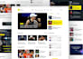 create and redesign wordpress news, blog or business website
